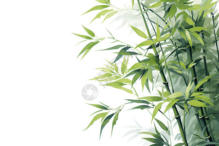 绿意盎然的竹海背景图片