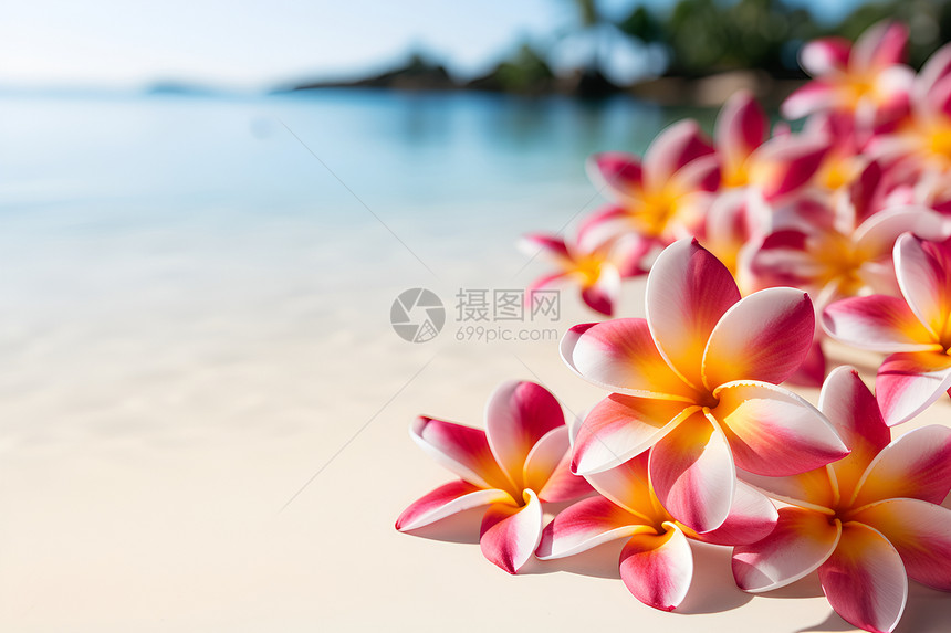 翠绿岛屿上的花海图片