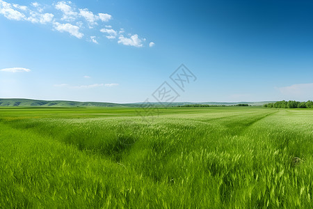 蓝蓝的天空美丽美丽的绿草原和蓝蓝的天空背景