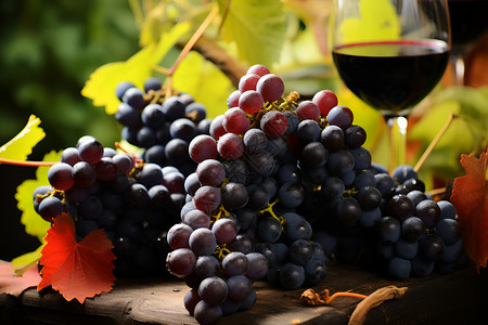 酿制葡萄酒背景图片