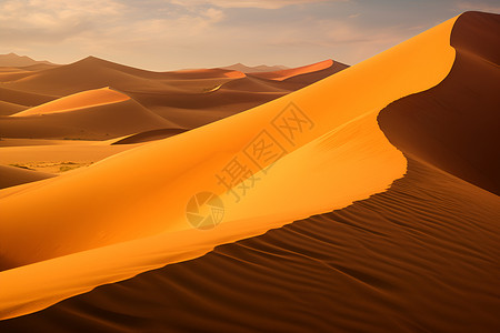 沙漠风采背景图片