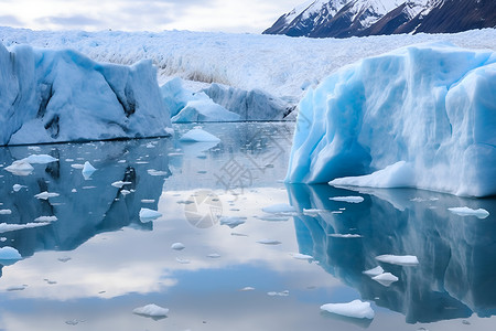 结冰的海洋冰块背景图片