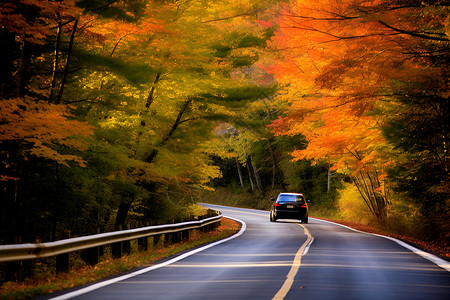 秋天美景公路背景图片