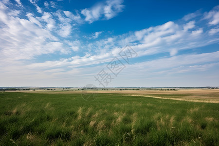 草地上的蓝天白云背景图片