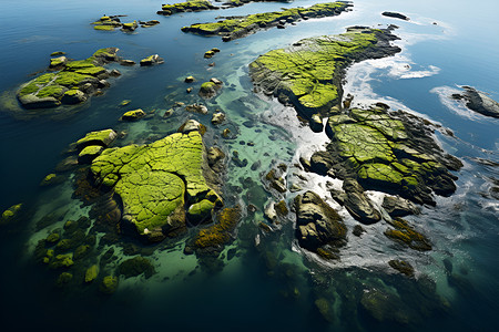 小岛上的翠绿植被背景图片