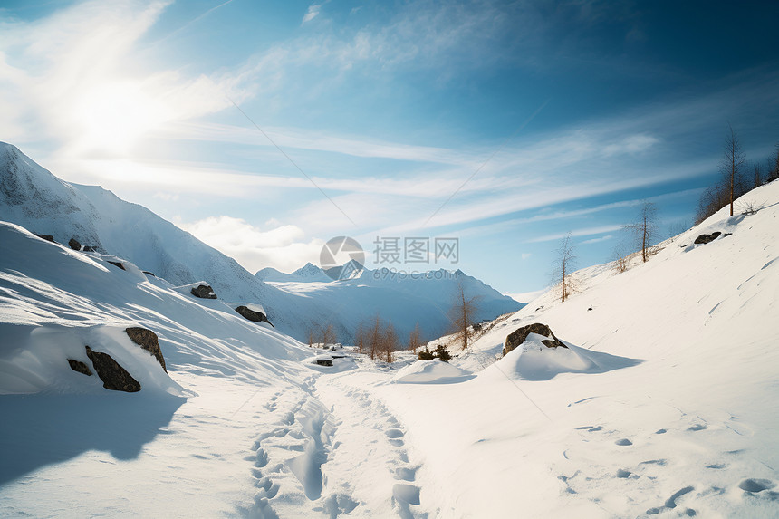 冬季白雪覆盖的山谷景观图片