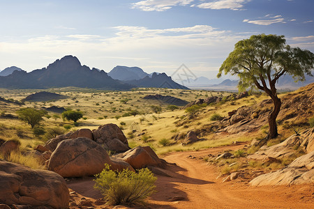 沙漠道路背景图片