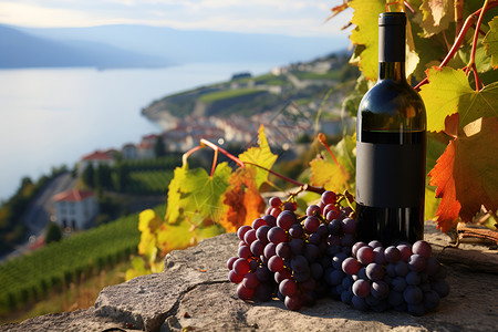 葡萄叶子一瓶葡萄酒和一串葡萄背景