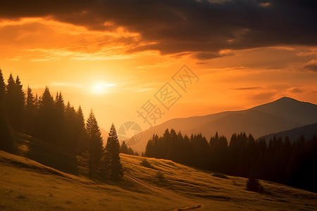 金色山林中的日落景观背景图片