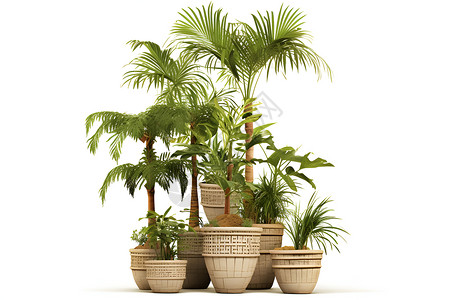 绿色的盆栽植物背景图片