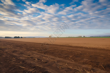 农田和天空背景图片