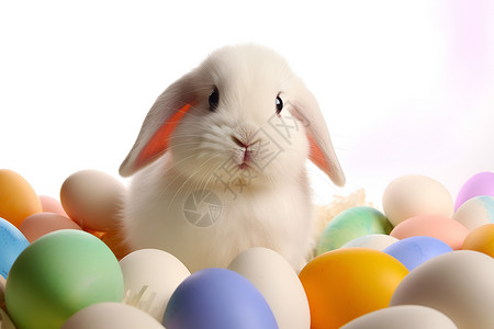 白兔与彩蛋背景图片