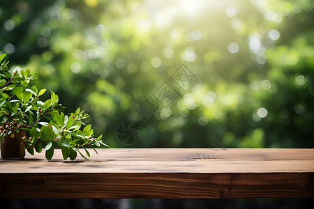 阳光下的木桌背景图片