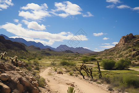 沙漠中简约的土路背景图片