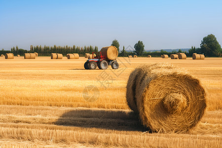 农地中的麦秸秆背景图片