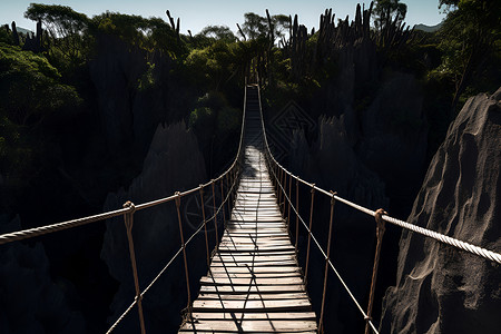 悬索桥穿越峡谷高清图片
