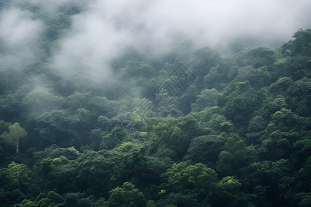 天气潮湿大雾天气背景