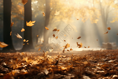 树叶飘落素材秋之拥抱背景