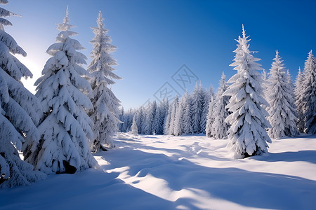 冬日覆雪的山林背景图片