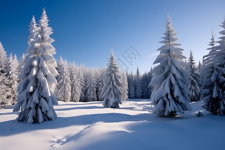 冬日积雪山林背景图片
