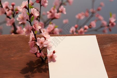 空白的漂亮的桌面上的桃花和纸张背景