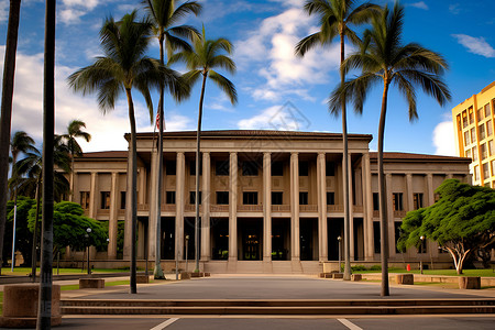 一座有棕榈树的大楼背景图片