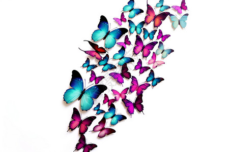 蝶舞翩跹美丽的彩蝶插画
