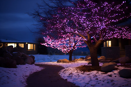 冬日紫光寒夜下的神秘之树背景