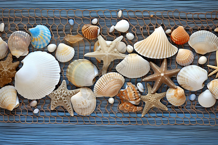 贝壳与海星背景图片