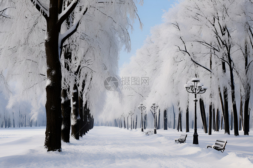 冰雪覆盖的公园与树木图片