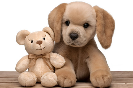 狗王子玩偶玩具兔子和玩具狗背景