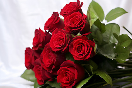 鲜红的红玫瑰背景图片