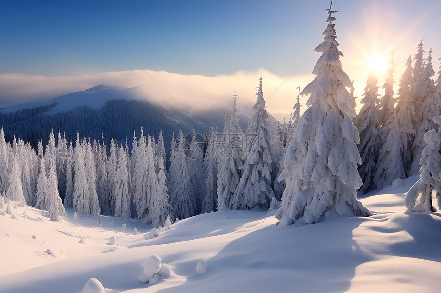 冬季山坡上的冰雪图片