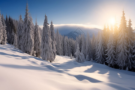 山坡上的冰雪背景图片