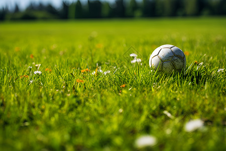 草坪上的足球背景图片