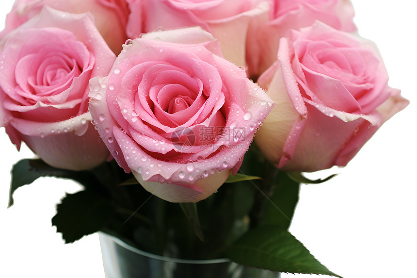 浪漫玫瑰水滴花束图片