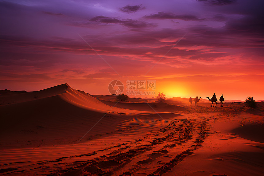 沙漠中的黄昏之旅图片