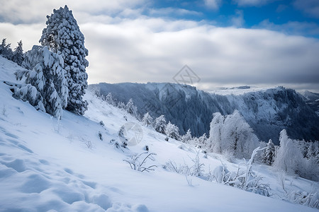 白云下的雪山背景图片