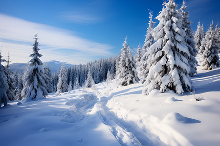 暴风雪冬日蓝天下的雪景背景