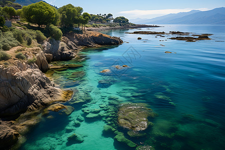 湛蓝海湾背景图片