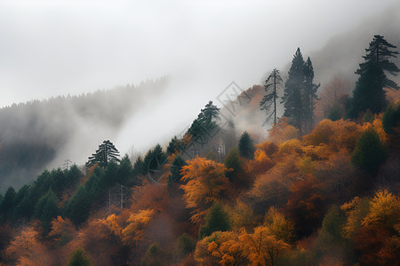 山林间云雾缭绕高清图片