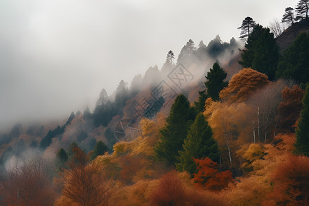 山林秋霜的美景背景图片