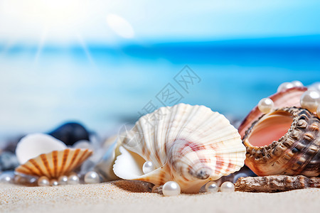 海滩上的珍珠高清图片