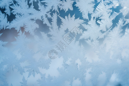 窗户上漂亮的雪花高清图片