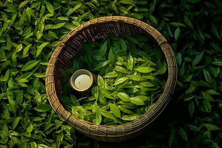 天然香气绿茶背景图片