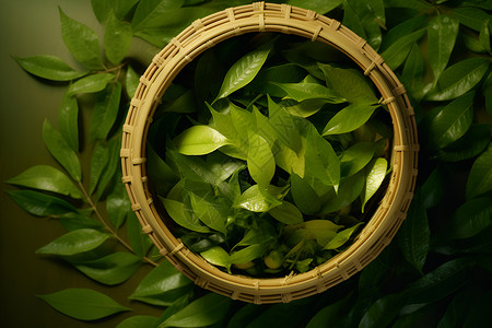 绿茶满满一筐背景图片