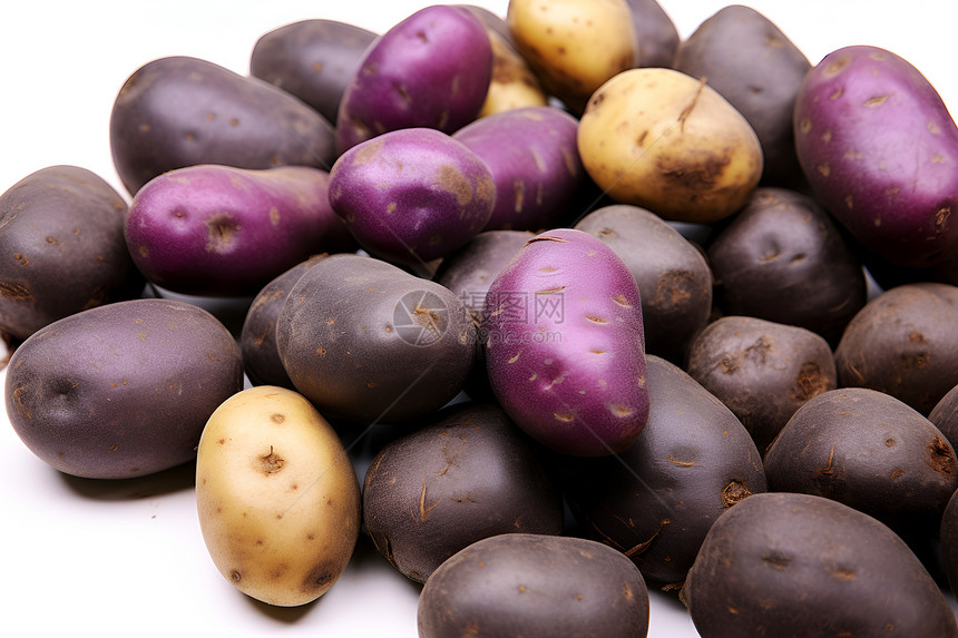 紫色马铃薯图片
