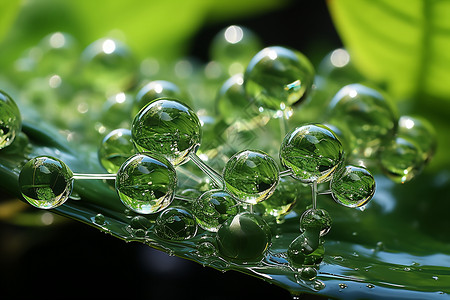 绿色的水珠分子背景图片