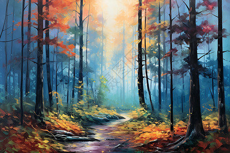 阳光下的的森林小路背景图片