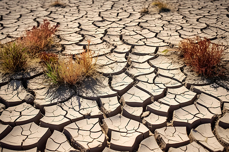 干裂的土地土壤旱灾高清图片